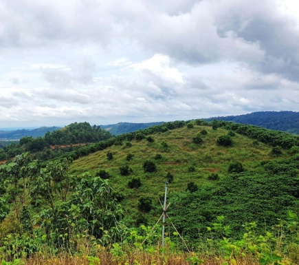 Đất 4ha tại Bảo Lâm, Lâm Đồng