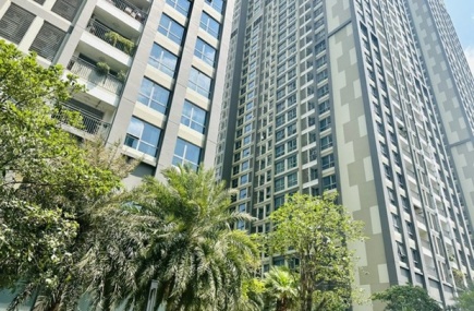 Real estate market needs credit solutions: experts
