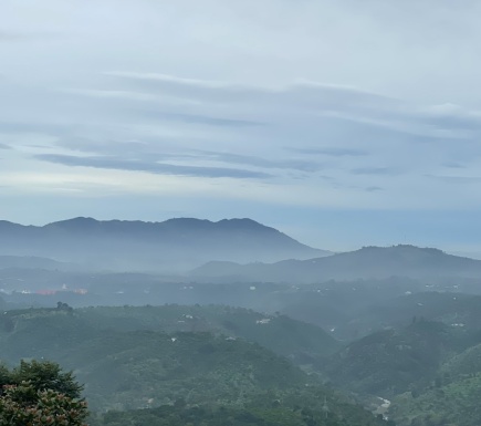 ĐẤT 2HA TẠI BẢO LÂM, LÂM ĐỒNG